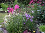 garten079