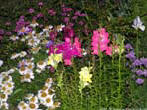 garten080