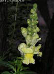 garten084