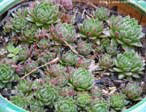garten101