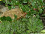 garten102