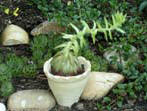 garten103