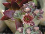 garten104