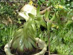 garten107