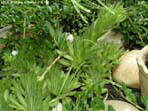garten108