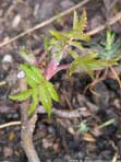 garten109