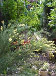 garten110