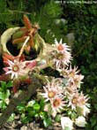 garten116