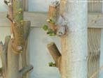 garten124