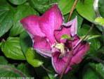 garten201