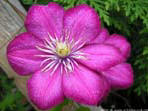 garten202