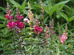 garten270