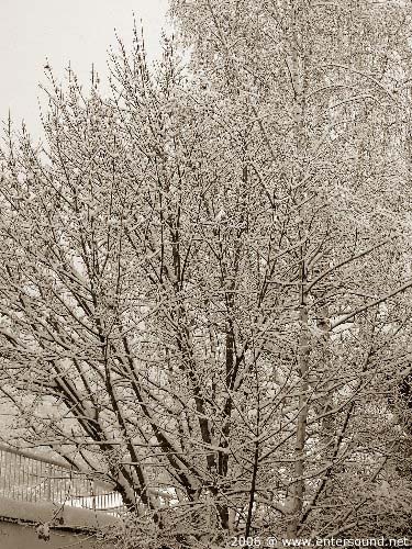 DSCF6706