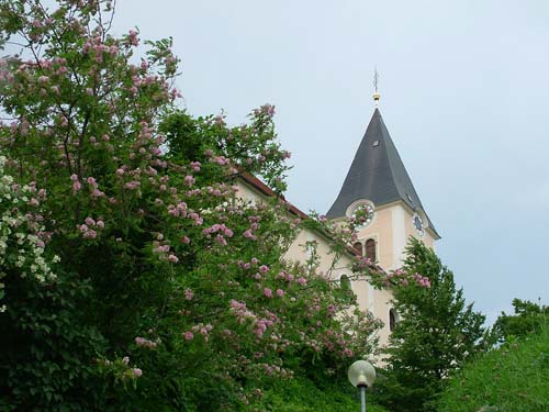 19.DSCF9124