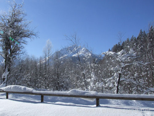DSCF4985