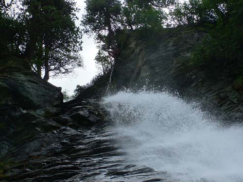 11.DSCF0687