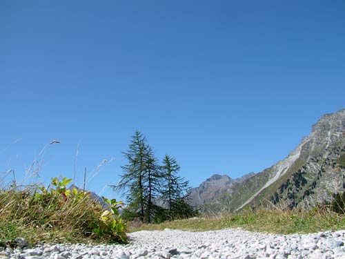 Schweiz013