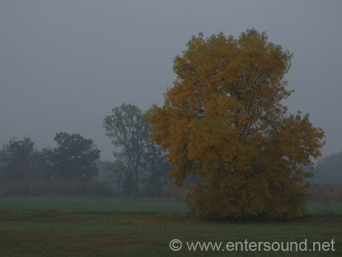 DSCF2836