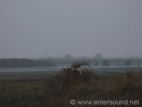 DSCF2864