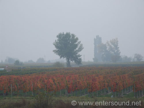 DSCF2876
