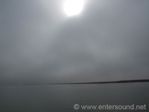 DSCF2920