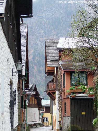 30.DSCF8982