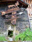 36DSCF8942